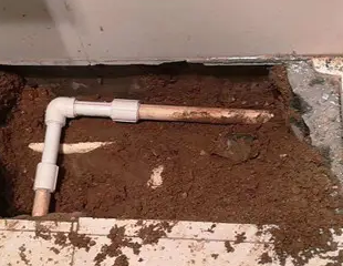 安泽测漏水哪家好