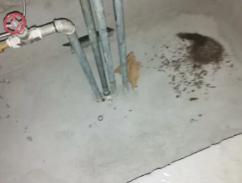 安泽卫生间测漏水价格明细